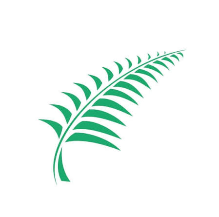 The Fern